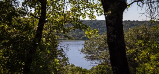 绿色的树叶为远处一个光滑的灰蓝色湖泊提供了一个小窗口。 湖被青山环绕。