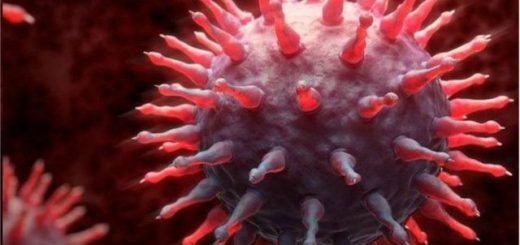 科学与健康：流感在冬天传播的真实原因- BBC News 中文