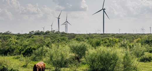 Acciona Energía 收购德州最大的电池储能项目