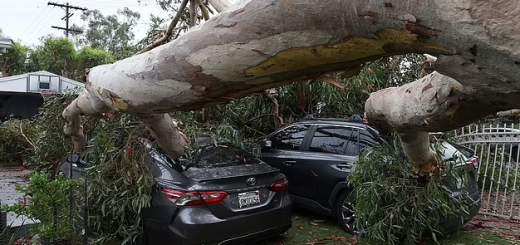 热带风暴过境，911中断，加州棕榈泉小镇完全被切断！