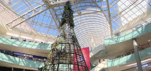 Dallas prepares for holiday season with tallest indoor tree in America |  FOX 4 Dallas-Fort Worth