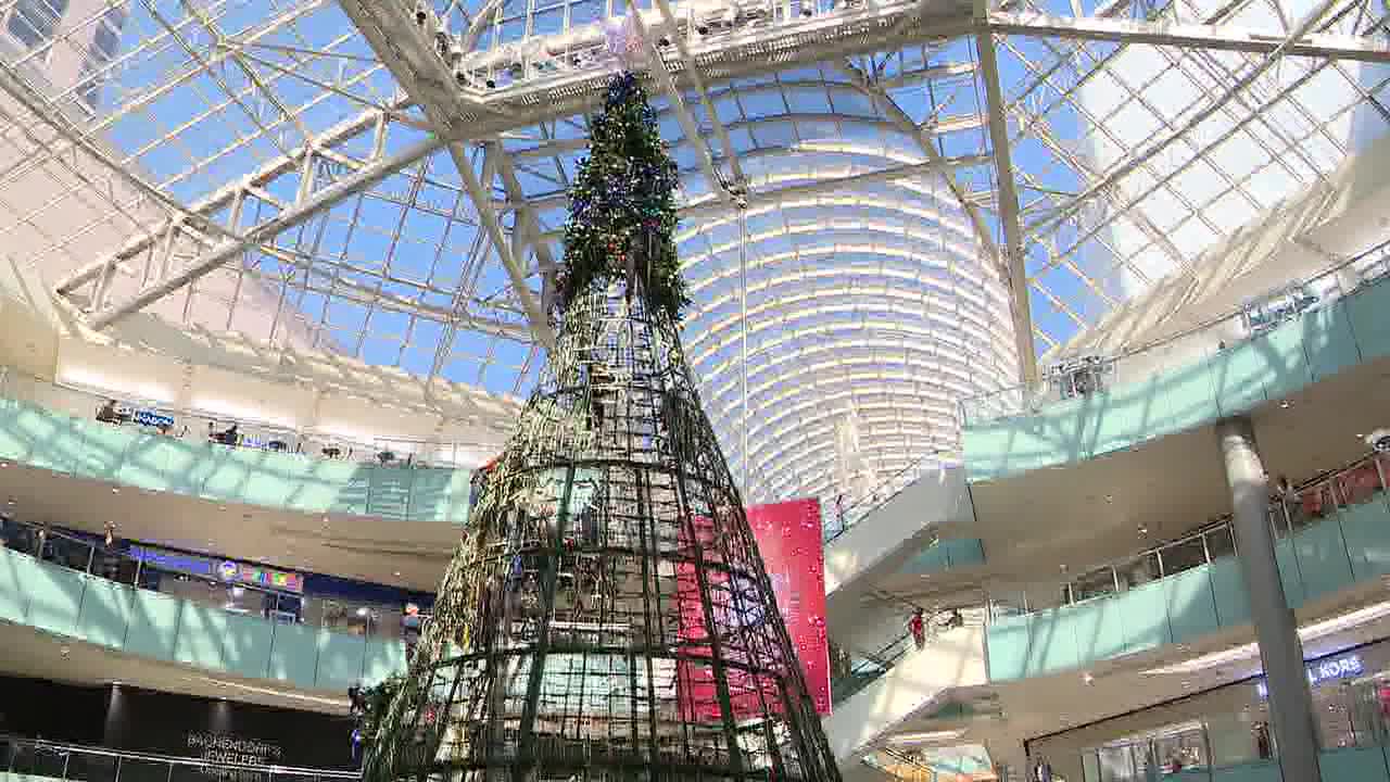 Dallas prepares for holiday season with tallest indoor tree in America |  FOX 4 Dallas-Fort Worth